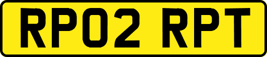 RP02RPT