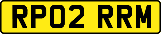 RP02RRM