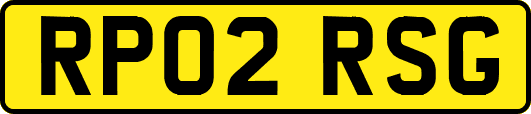 RP02RSG