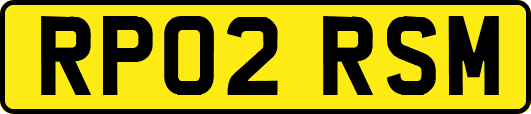 RP02RSM