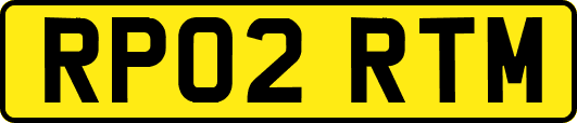 RP02RTM