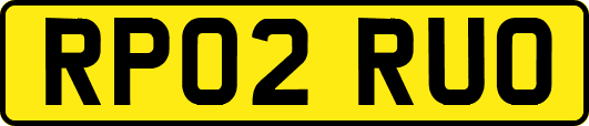 RP02RUO