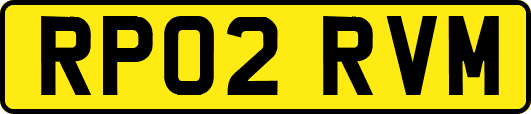 RP02RVM