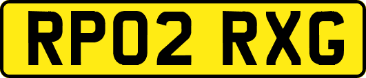 RP02RXG