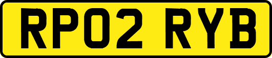 RP02RYB