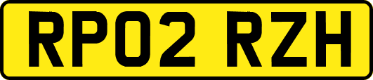 RP02RZH
