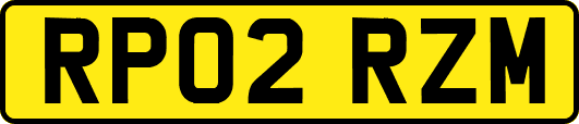 RP02RZM