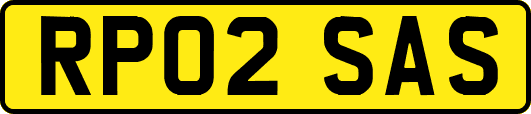 RP02SAS