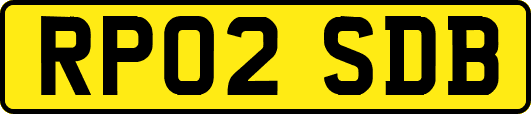 RP02SDB