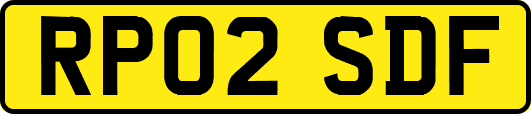 RP02SDF