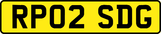 RP02SDG