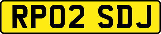 RP02SDJ