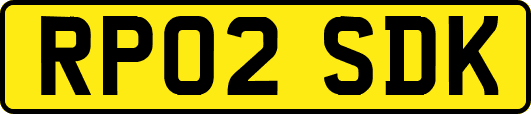 RP02SDK