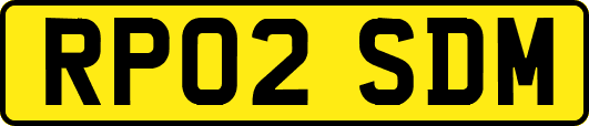 RP02SDM