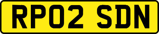 RP02SDN