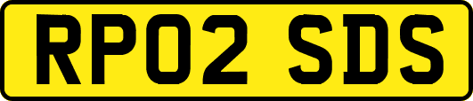 RP02SDS