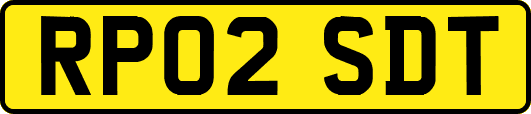RP02SDT