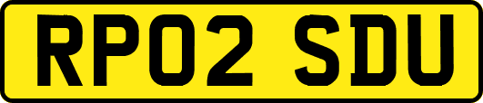RP02SDU