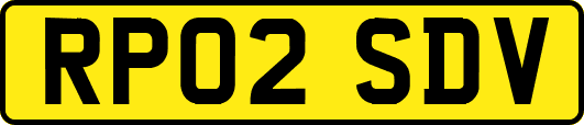 RP02SDV