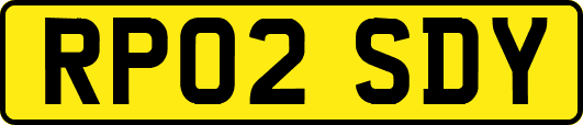 RP02SDY