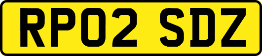 RP02SDZ
