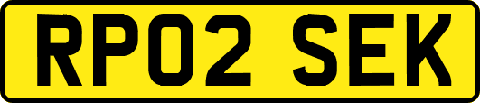 RP02SEK