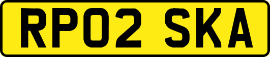 RP02SKA