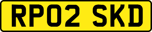 RP02SKD