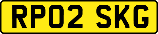 RP02SKG