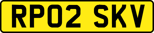 RP02SKV