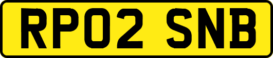 RP02SNB