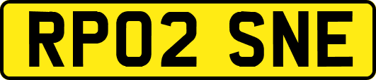RP02SNE