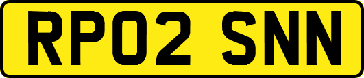 RP02SNN