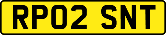 RP02SNT