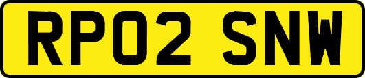 RP02SNW