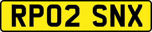 RP02SNX