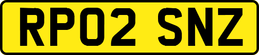 RP02SNZ