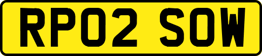 RP02SOW