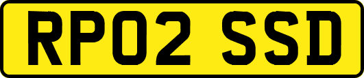 RP02SSD
