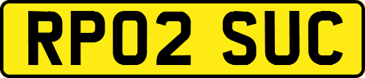 RP02SUC