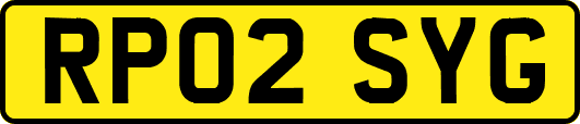 RP02SYG