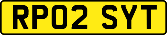 RP02SYT