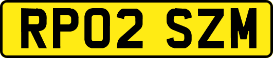 RP02SZM