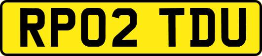 RP02TDU