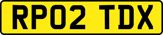 RP02TDX