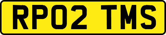 RP02TMS