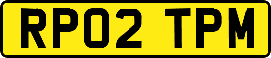 RP02TPM