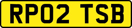RP02TSB