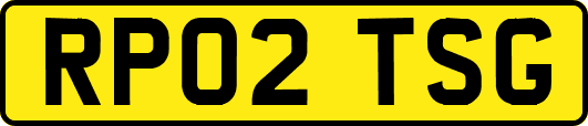 RP02TSG