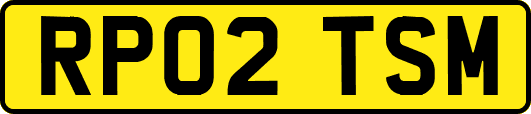 RP02TSM